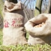 Nocciola piemonte igp in guscio confezionata in sacco di juta vendita diretta online azienda agricola Scoiattolo Rosso