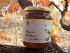 miele di castagno naturale italiano