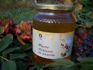 miele italiano di acacia apicoltura scoiattolo rosso 1000g